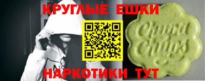 стаф Кунгур